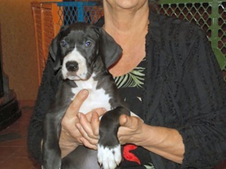 Angie-Kyle  Florida   